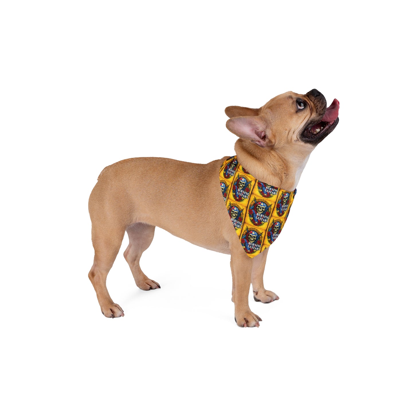 Burning Guitars Rockstar Skull Pet Bandana