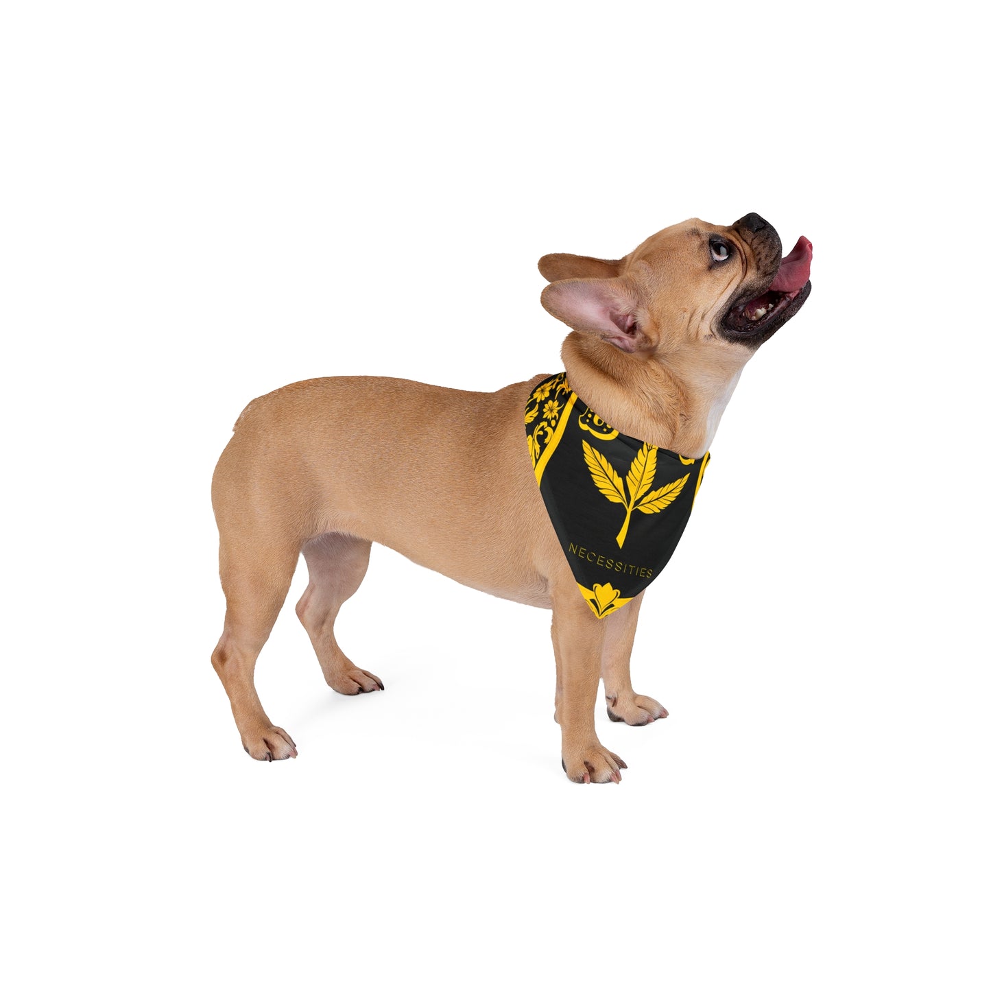 BG Necessities Pet Bandana by Burning Guitars