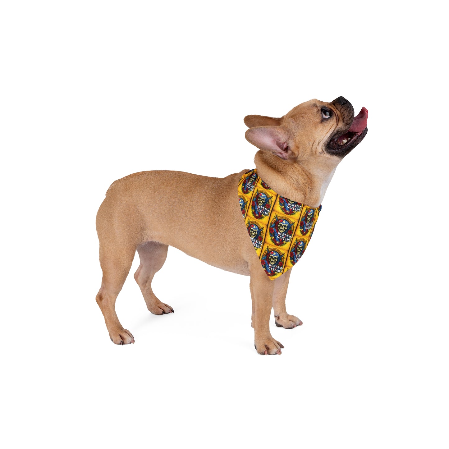 Burning Guitars Rockstar Skull Pet Bandana