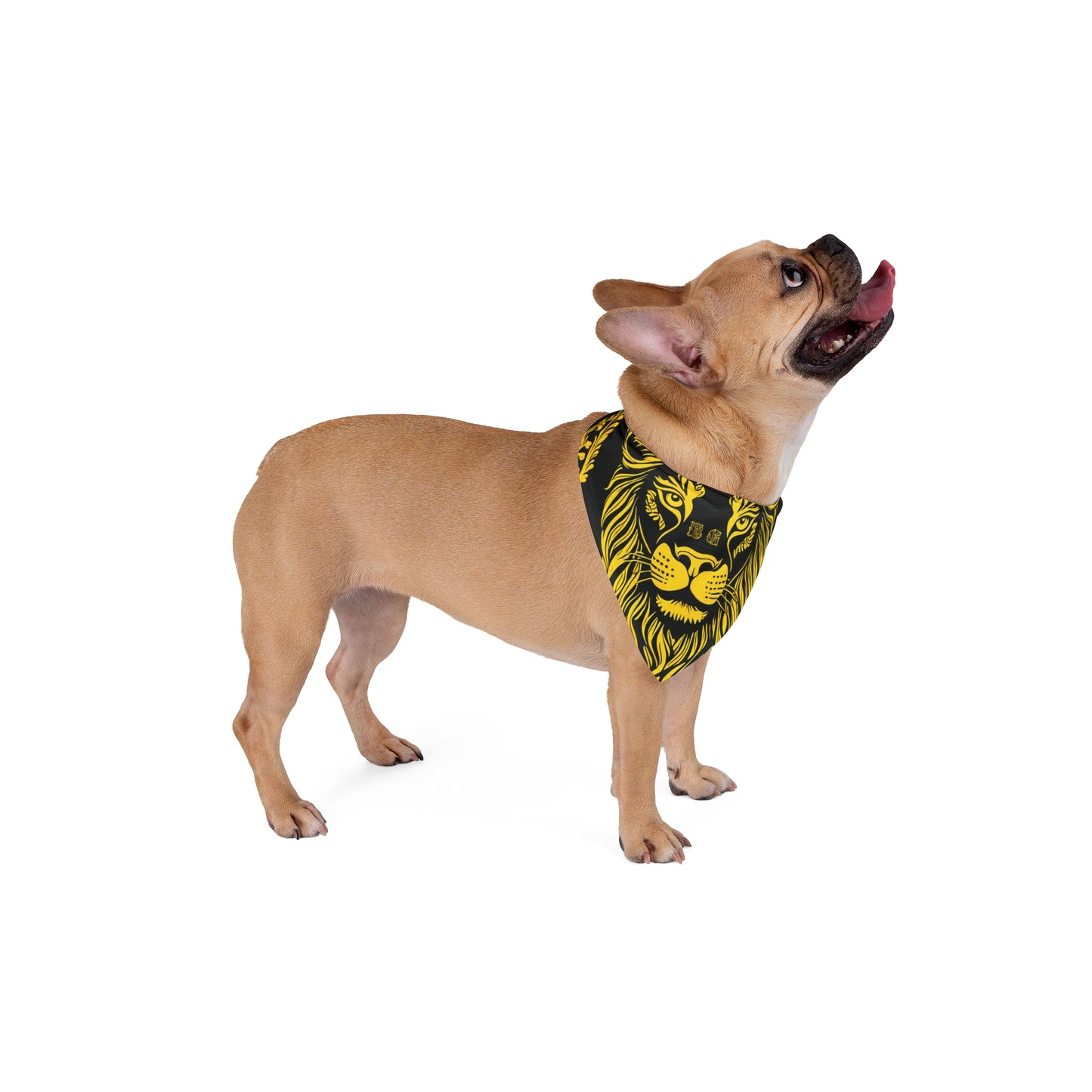 BG Necessities Lion Head Pet Bandana by Burning Guitars