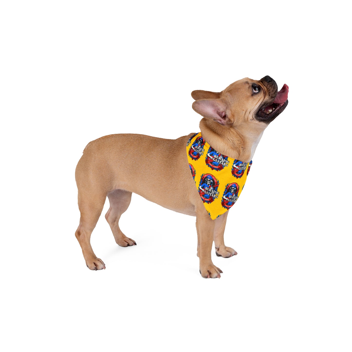 Burning Guitars Rockstar Pet Bandana