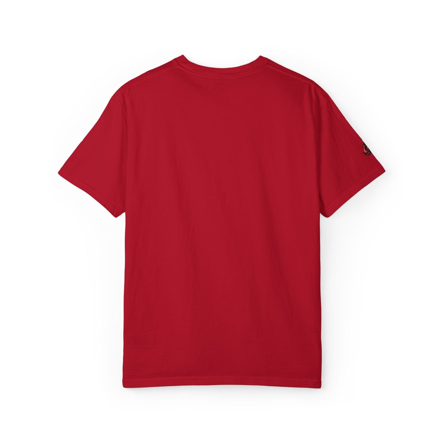 Fight Scan Ai Unisex Garment-Dyed T-shirt